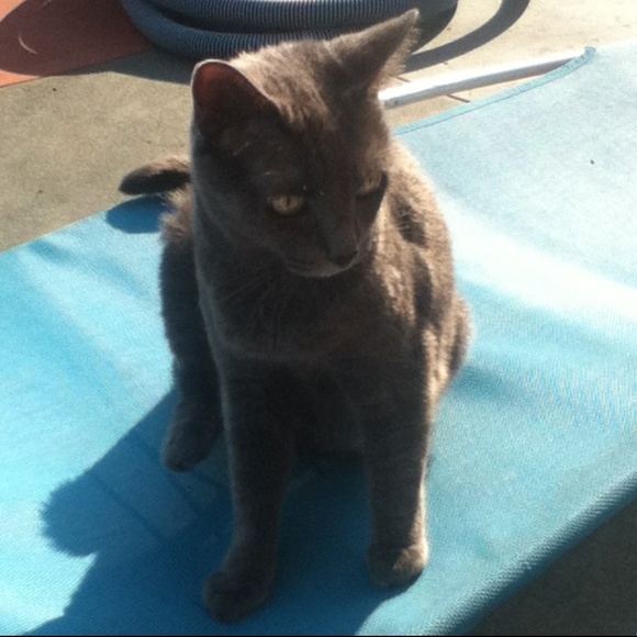 Meet your Posher, Angela :D - Picture 8 of 8